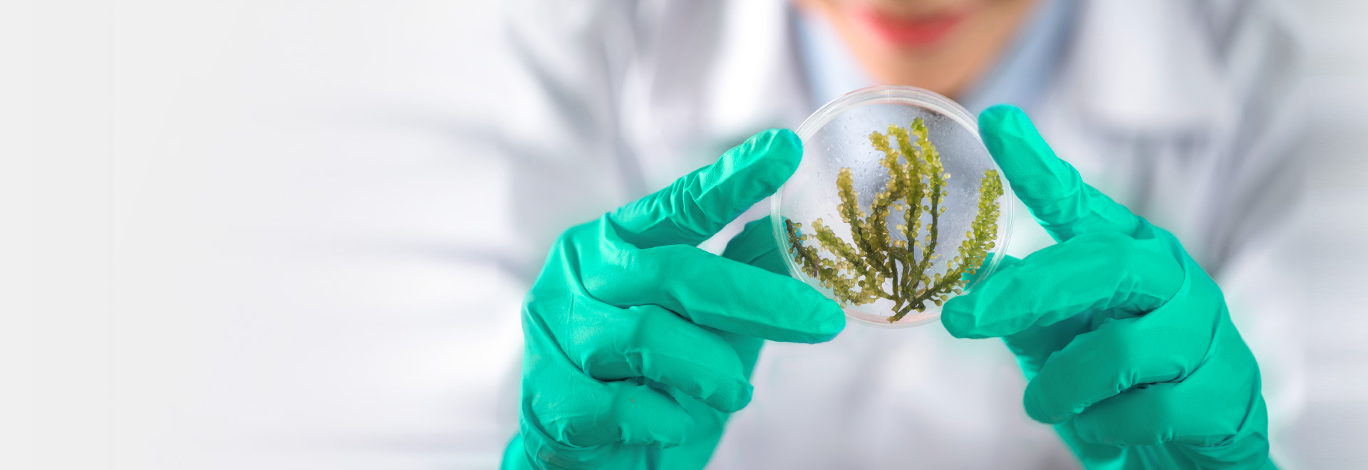 关于亚美AM8AG旗舰厅