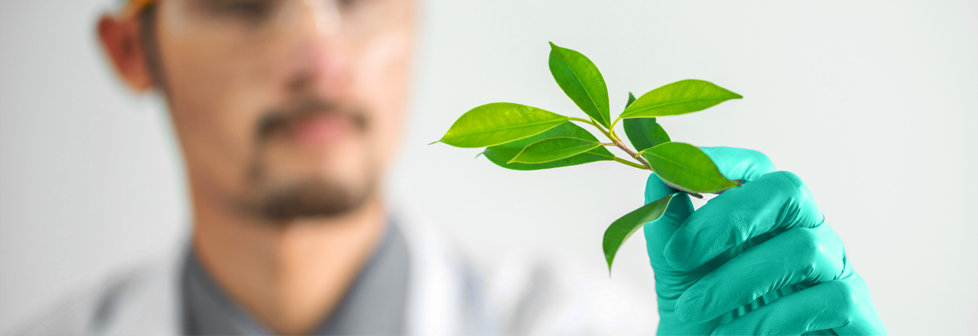 联系亚美AM8AG旗舰厅