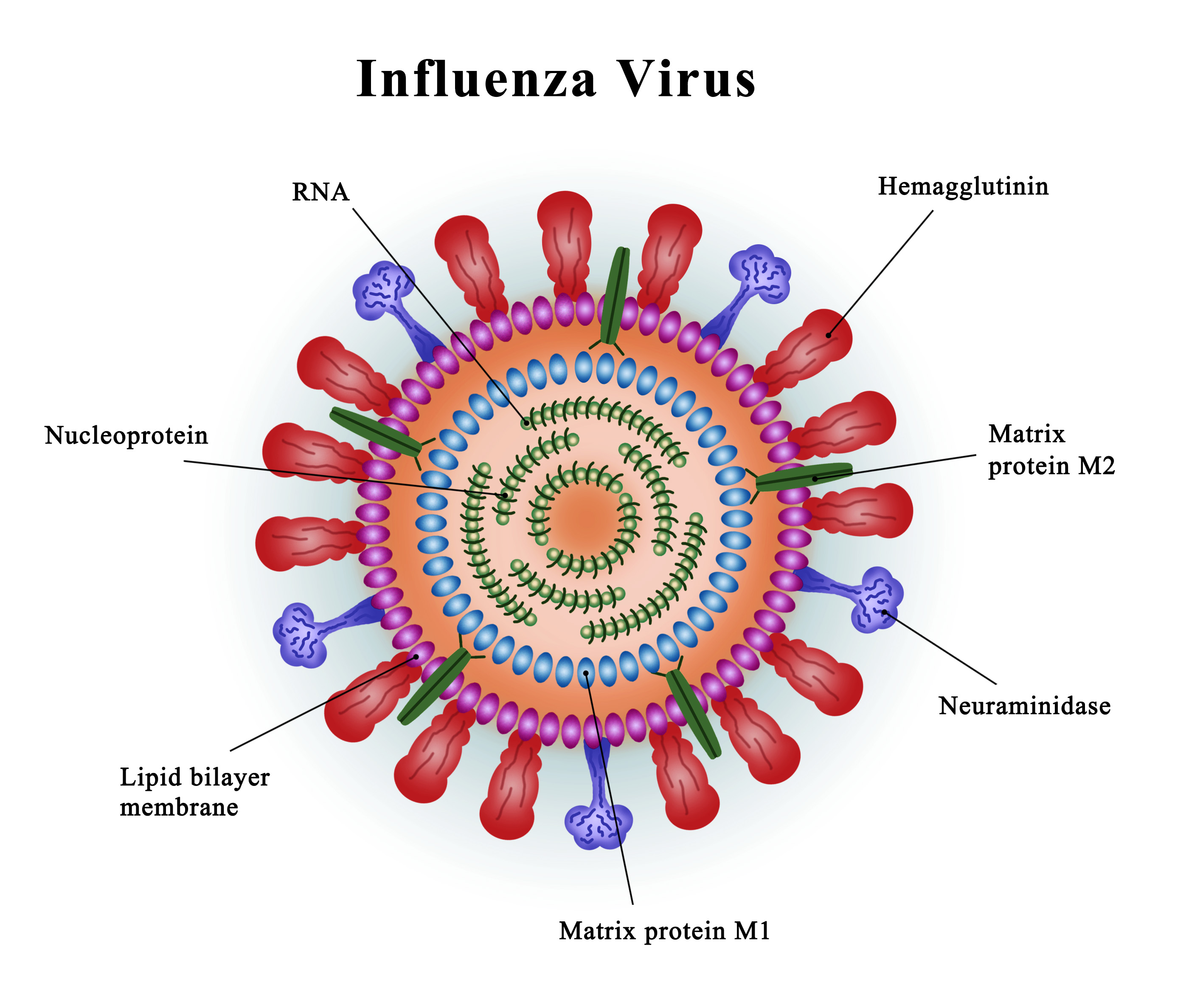 Influenza